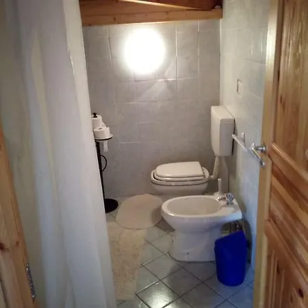 Apartament City *