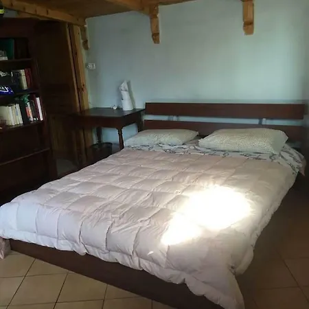 Apartament City *
